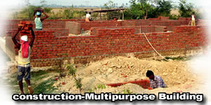 contruction-multipurpose building